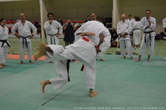 miaramas-2016-stage-tai-jitsu-national-zone-sud-novembre-2016-dsc_0095
